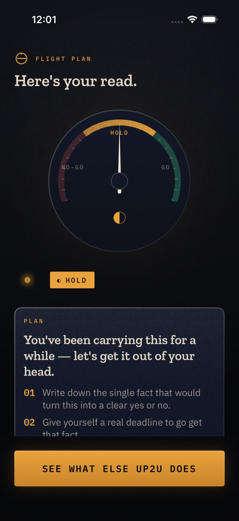 UP2U Co-Pilot app — the read, a cockpit gauge showing HOLD with a written plan
